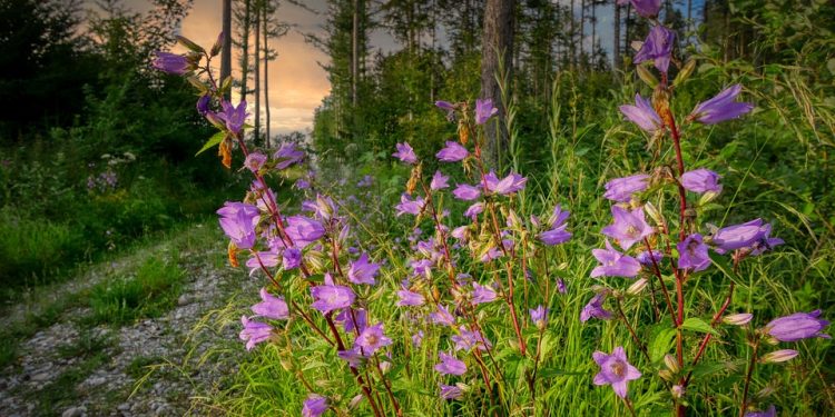 Unbreakable: Building Resilience in the Face of Adversity