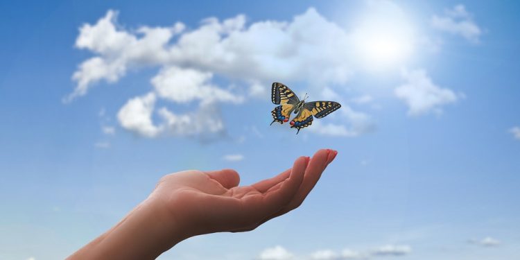 Revitalize Your Body and Mind: A Journey to Optimal Health and Wellness