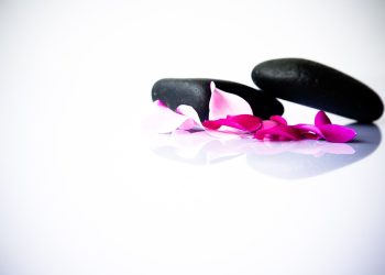 Harmonizing Health: A Journey to Holistic Wellness