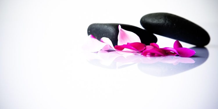 Harmonizing Health: A Journey to Holistic Wellness